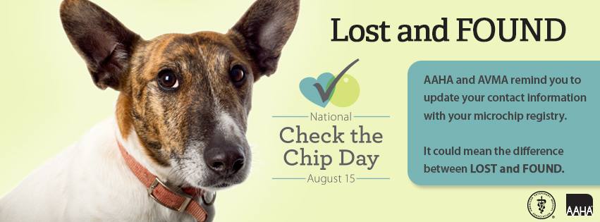 National Check the Chip Day