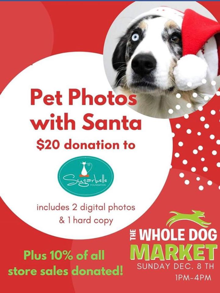 Whole Dog Market Santa photos 2019